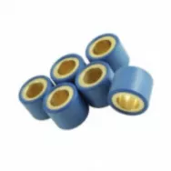 Ролики вариатора (6шт) 16x13 10.0гр.DIO Formula 6