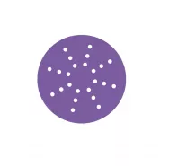 Круг SANDWOX PURPLE + диск на пленочной основе, циркониевый корунд Ø150мм, Р240 Multi hole