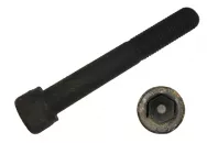 Винт М16*120 с внутр. шестигр. пр. 12.9 DIN 912 17095
