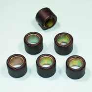 Ролики вариатора (6шт) 16x13 5,0гр.DIO50 Formula 6