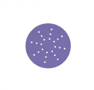 Круг SANDWOX PURPLE диск на пленочной основе, циркониевый корунд Ø225мм, Р80, липучка, Multi hole