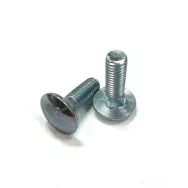 Болт М10*30 полукруг.головка DIN 603 (11002)