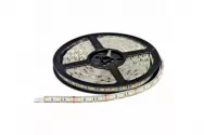 Лента светодиодная GLS-5050-60-14.4-12-IP65-4, (5м) General Lighting Systems, нейтральный белый