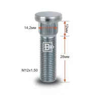 Шпилька забивная M12X1,50 14.2/28 G1 (Lрезьб.=28мм, Dзаб.=14,2мм, Lзаб.=12м) Dacromet