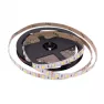 Лента светодиодная GLS-5050-60-14.4-12-IP20-4, (5м) General Lighting Systems, нейтральный белый