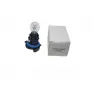 Лампа галогенная PROsvet 12v HP24w clear-01B