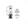 Лампа галогенная Hella 8GH 005 636-201 HB4A 12V-51W (P22d)