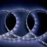 Лента светодиодная GLS-5050-60-14.4-12-IP65-6, (5м) General Lighting Systems, холодный белый