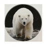 Наклейка на запасное колесо "Белый медведь" 56,5см