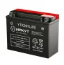 Аккумулятор Иркут YTX24HL-BS (12V / 22Ah)