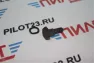 Болт крепления сцепления бензокосы 26см3 AEZ 010157(J)
