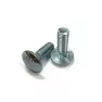 Болт М10*30 полукруг.головка DIN 603 (11002)