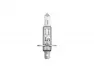 Лампа галогенная AUTOPROFI H1 12V 55W (P14.5S) STANDARD 