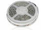 Лента светодиодная GLS-5050-30-7.2-12-IP65-RGB, (5м) General Lighting Systems, белая