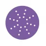 Круг SANDWOX PURPLE диск на пленочной основе, циркониевый корунд Ø225мм, Р120, липучка, Multi hole
