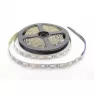 Лента светодиодная GLS-5050-60-14.4-12-IP20-RGB-6, (5м) General Lighting Systems, холодный белый