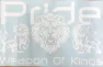 Наклейка с изображением льва и надписью "Pride weapon of kings" 25*39см белый