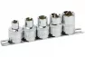 Набор головок АвтоДело 39970 3-гранных 1/2"DR М5-М12