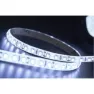 Лента светодиодная GLS-2835-120-9.6-12-IP65-PRO-6, (5м) General Lighting Systems, холодный белый