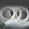 Лента светодиодная GLS-COB-528-14-24-IP20-6, (5м) General Lighting Systems, холодный белый